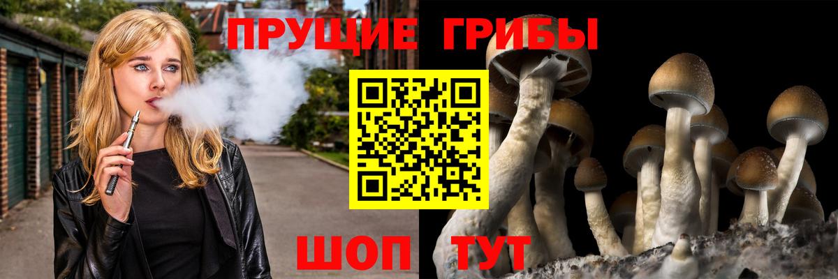 Галлюциногенные грибы мухоморы  как найти закладки  Сердобск  Вход с VPN  Псилоцибиновые грибы Psilocybe 